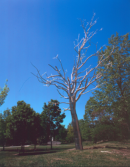 Stainless Steel Tree!